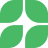 ریحون