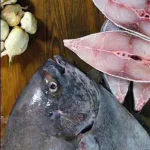 ماهی حلوا سیاه
